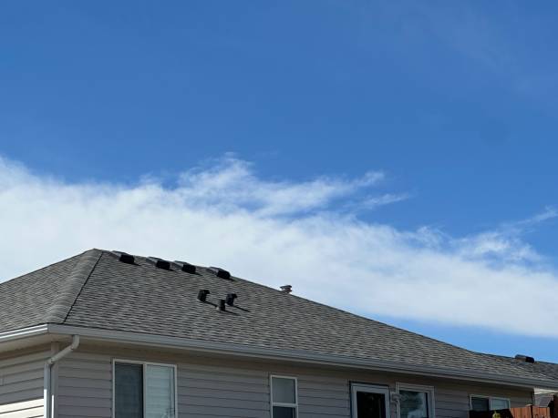 Best Roof Maintenance and Cleaning  in Whitg, IN
